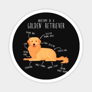 Anatomy of a Golden Retriever Magnet